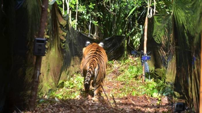 Detail Gambar Petugas Kebun Binatang Sedang Menjaga Hewan Agar Tidak Lepas Nomer 51