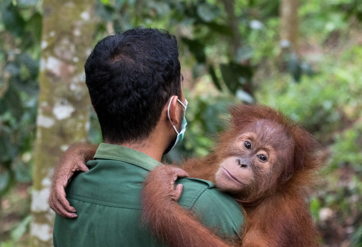 Detail Gambar Petugas Kebun Binatang Sedang Menjaga Hewan Agar Tidak Lepas Nomer 52