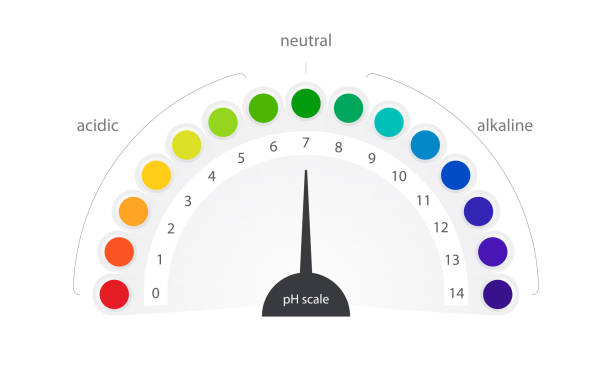 Detail Gambar Ph Meter Nomer 28