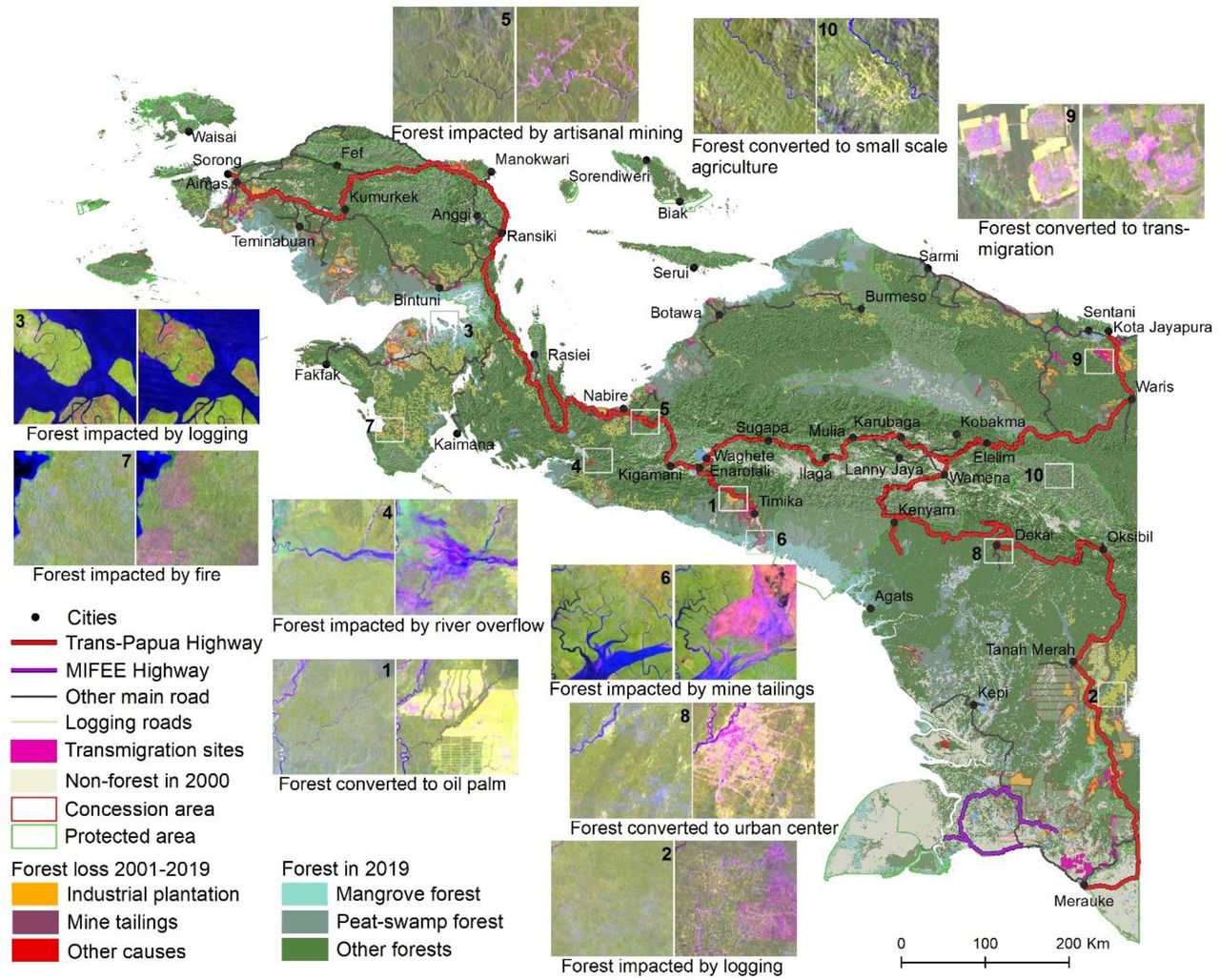 Detail Gambar Photo Peta Papua Nomer 40