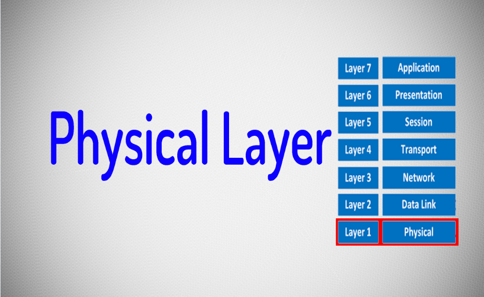 Detail Gambar Physical Layer Nomer 18