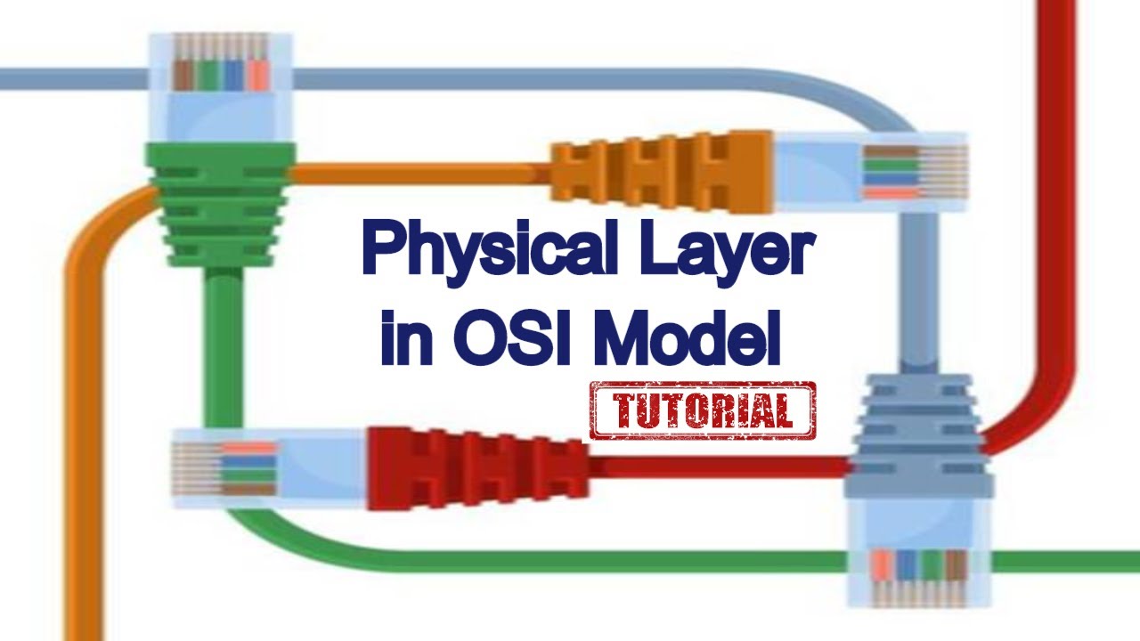 Detail Gambar Physical Layer Nomer 4