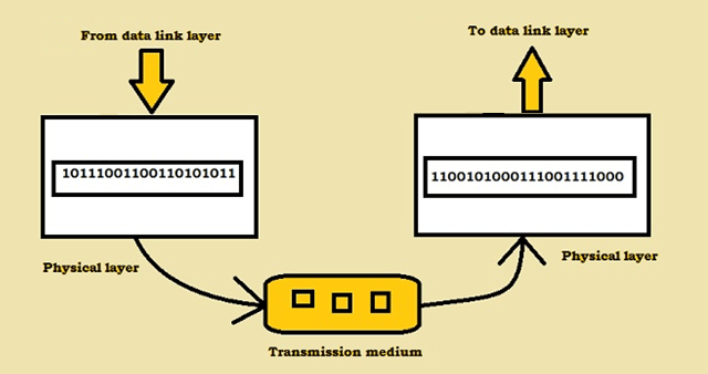 Detail Gambar Physical Layer Nomer 34