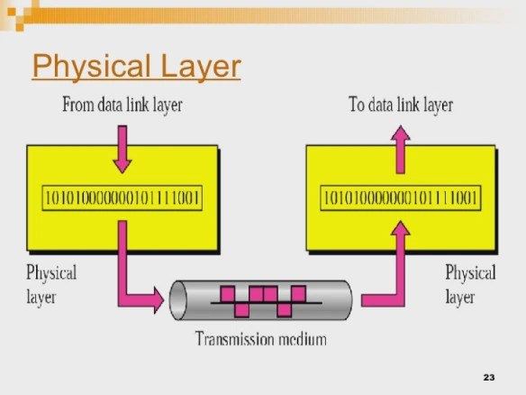 Detail Gambar Physical Layer Nomer 35