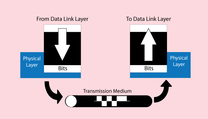 Detail Gambar Physical Layer Nomer 37