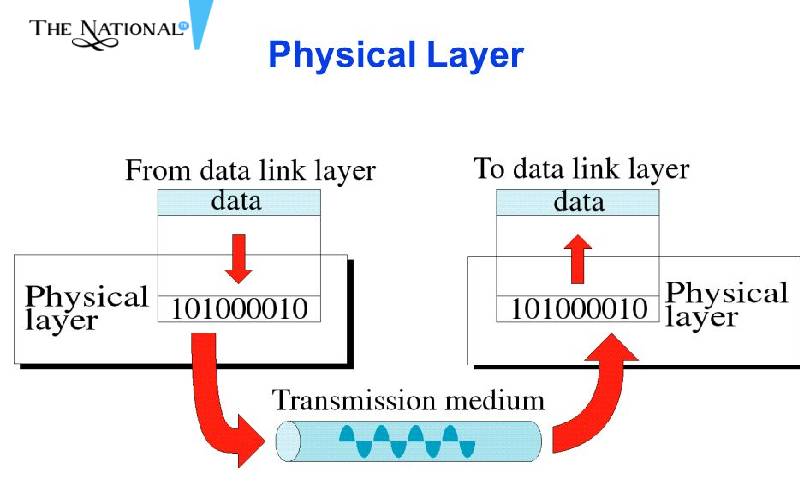 Detail Gambar Physical Layer Nomer 40