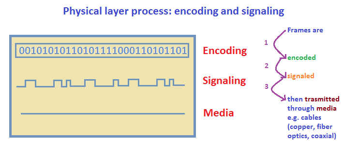Detail Gambar Physical Layer Nomer 42
