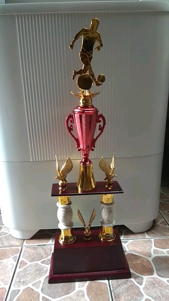 Gambar Piala Futsal - KibrisPDR