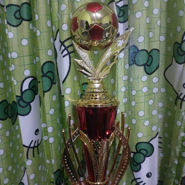 Detail Gambar Piala Futsal Nomer 11