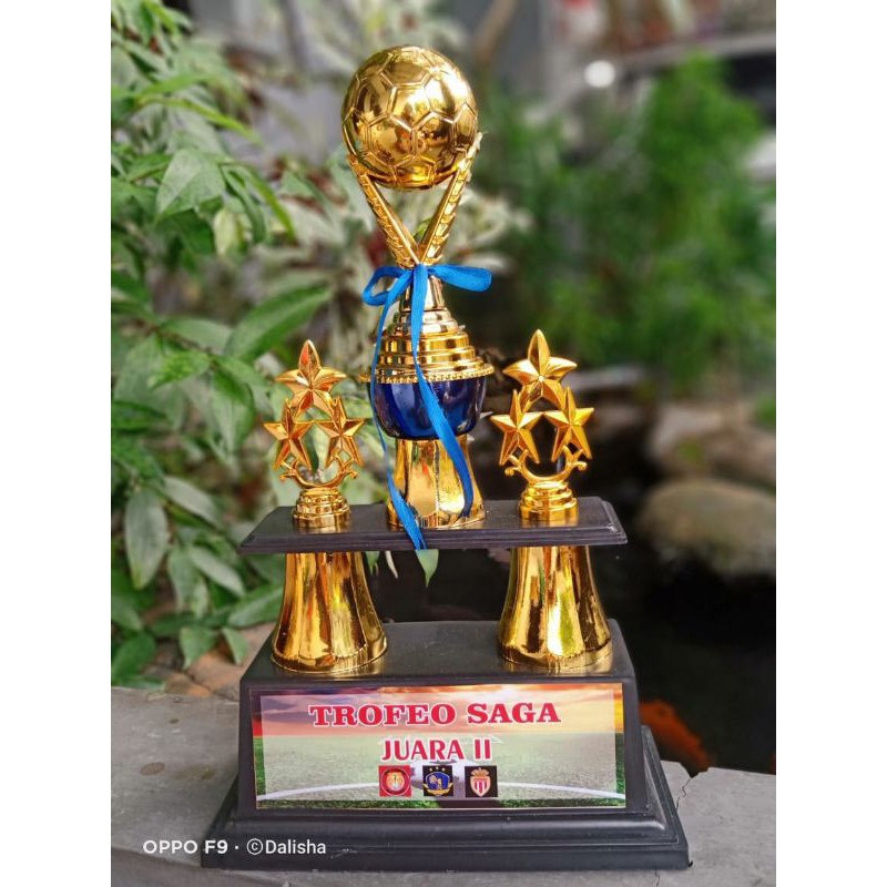 Detail Gambar Piala Futsal Nomer 15