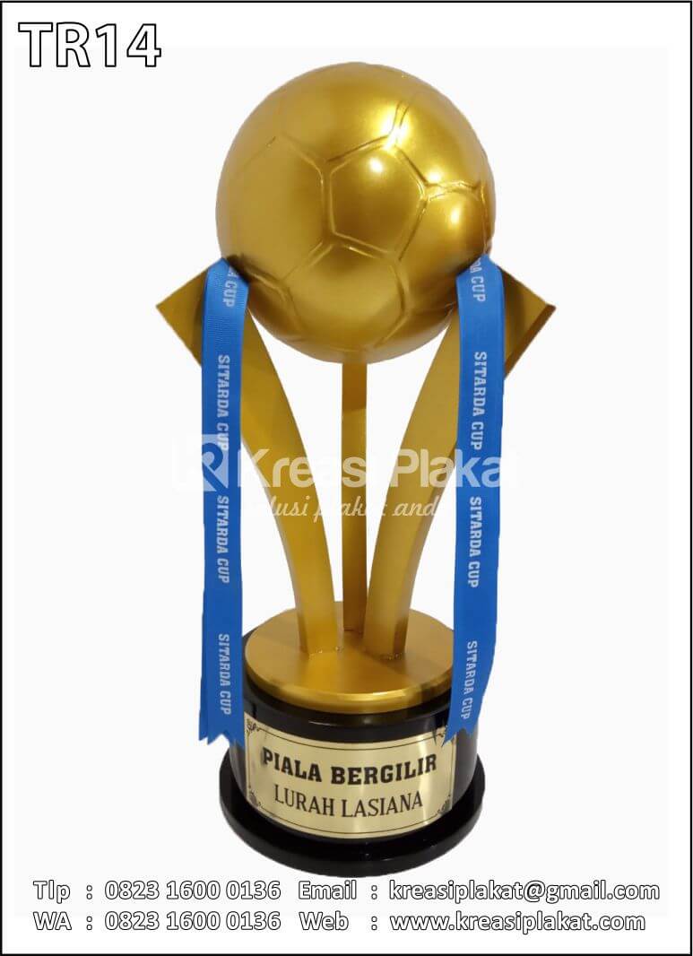 Detail Gambar Piala Futsal Nomer 22