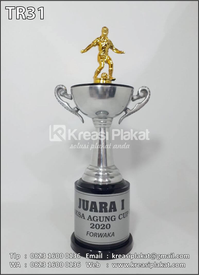 Detail Gambar Piala Futsal Nomer 29