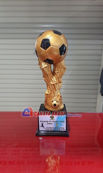 Detail Gambar Piala Futsal Nomer 5