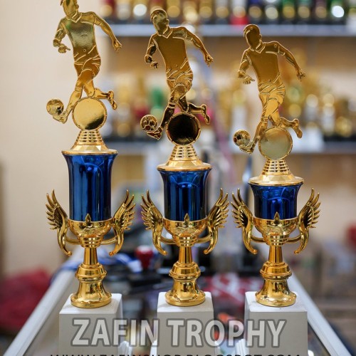 Detail Gambar Piala Futsal Nomer 52