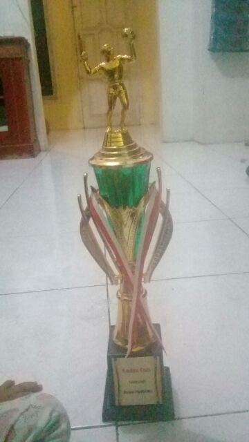 Detail Gambar Piala Volly Ball Nomer 8