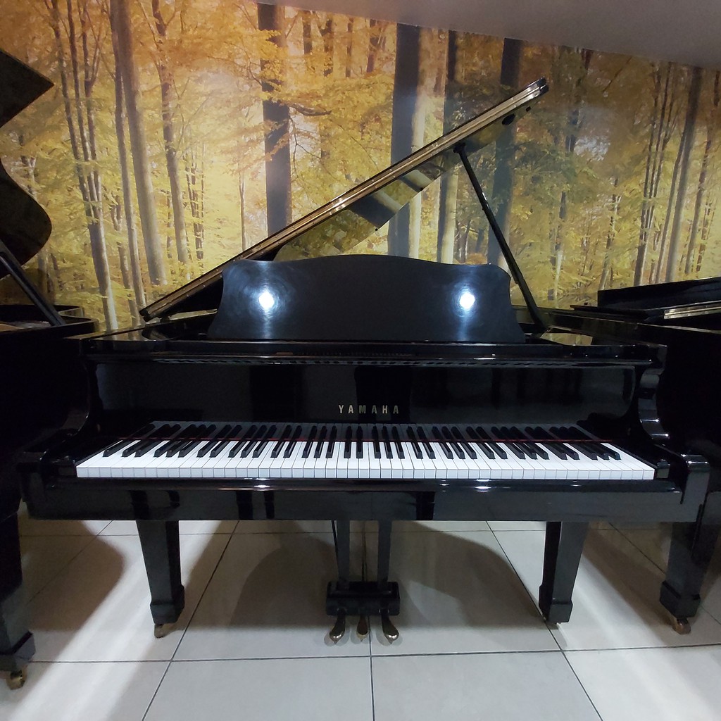 Detail Gambar Piano Klasik Nomer 6