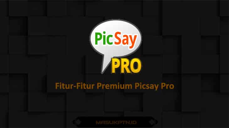 Detail Gambar Picsay Pro Nomer 47