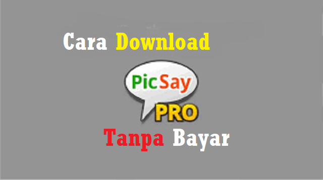 Detail Gambar Picsay Pro Nomer 57