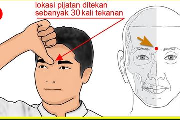 Detail Gambar Pijat Refleksi Sakit Batuk Nomer 33