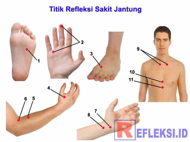 Detail Gambar Pijat Refleksi Sakit Batuk Nomer 46