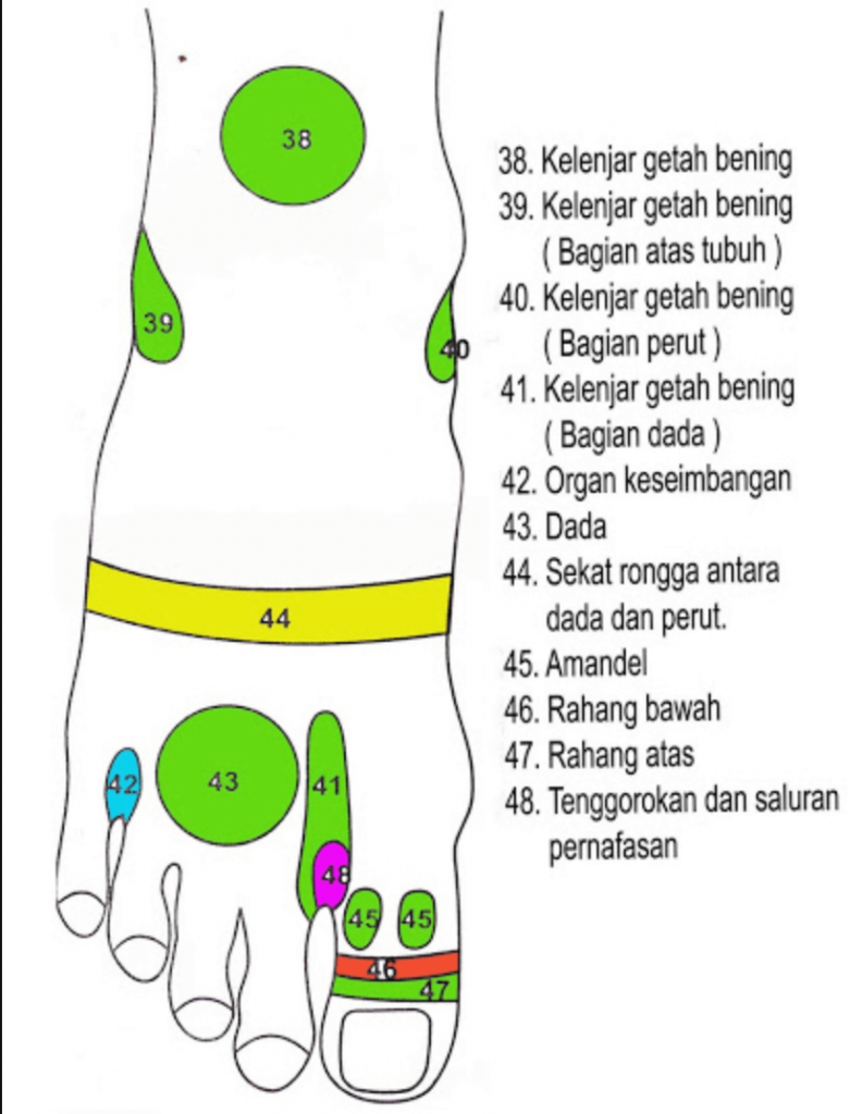 Detail Gambar Pijat Refleksi Sakit Batuk Nomer 50