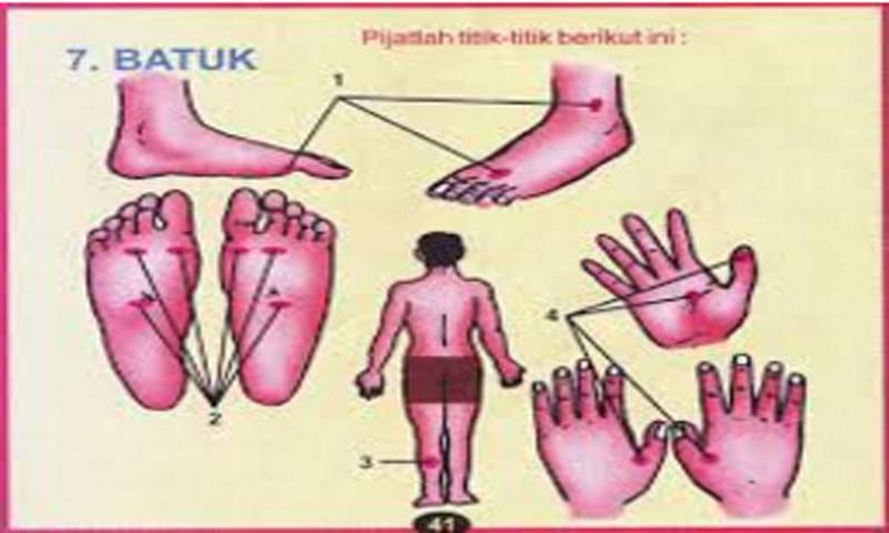 Detail Gambar Pijat Refleksi Sakit Batuk Nomer 7