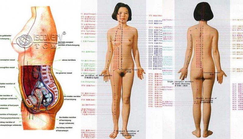 Detail Gambar Pijat Refleksi Seluruh Badan Nomer 5