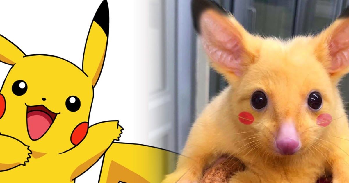 Detail Gambar Pikachu Sedih 3d Nomer 56