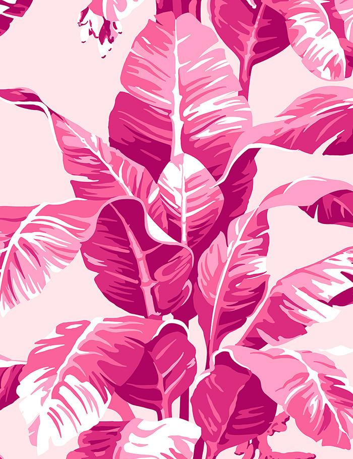 Detail Gambar Pink Wallpaper Nomer 43