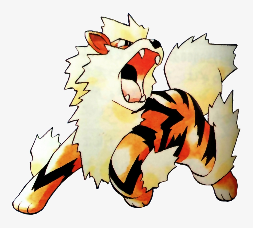 Detail Arcanine Sun Moon Nomer 11