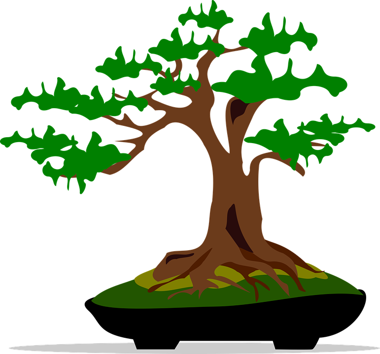 Detail Bonsai Vector Nomer 9