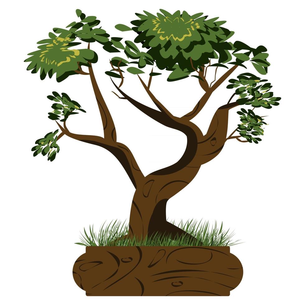 Detail Bonsai Vector Nomer 10