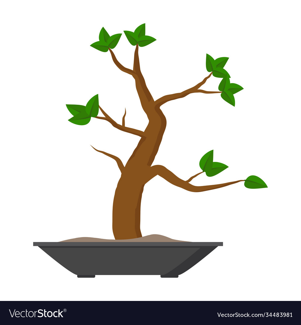 Detail Bonsai Vector Nomer 15