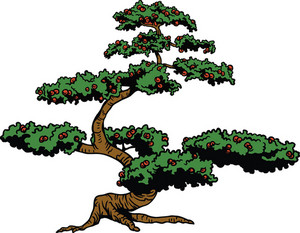 Detail Bonsai Vector Nomer 7
