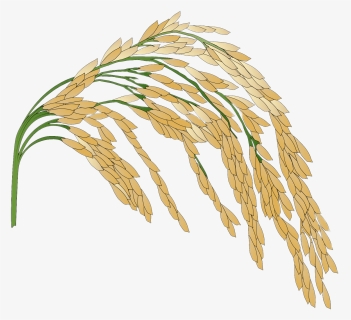 Detail Crop Image Transparent Background Nomer 13