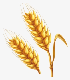 Detail Crop Image Transparent Background Nomer 17