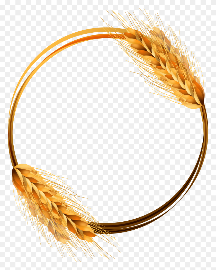 Detail Crop Image Transparent Background Nomer 28