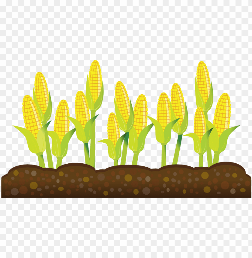 Detail Crop Image Transparent Background Nomer 4