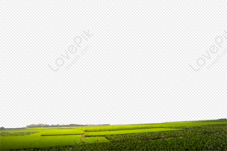 Detail Crop Image Transparent Background Nomer 30