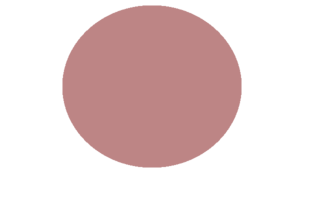 Detail Crop Image Transparent Background Nomer 34