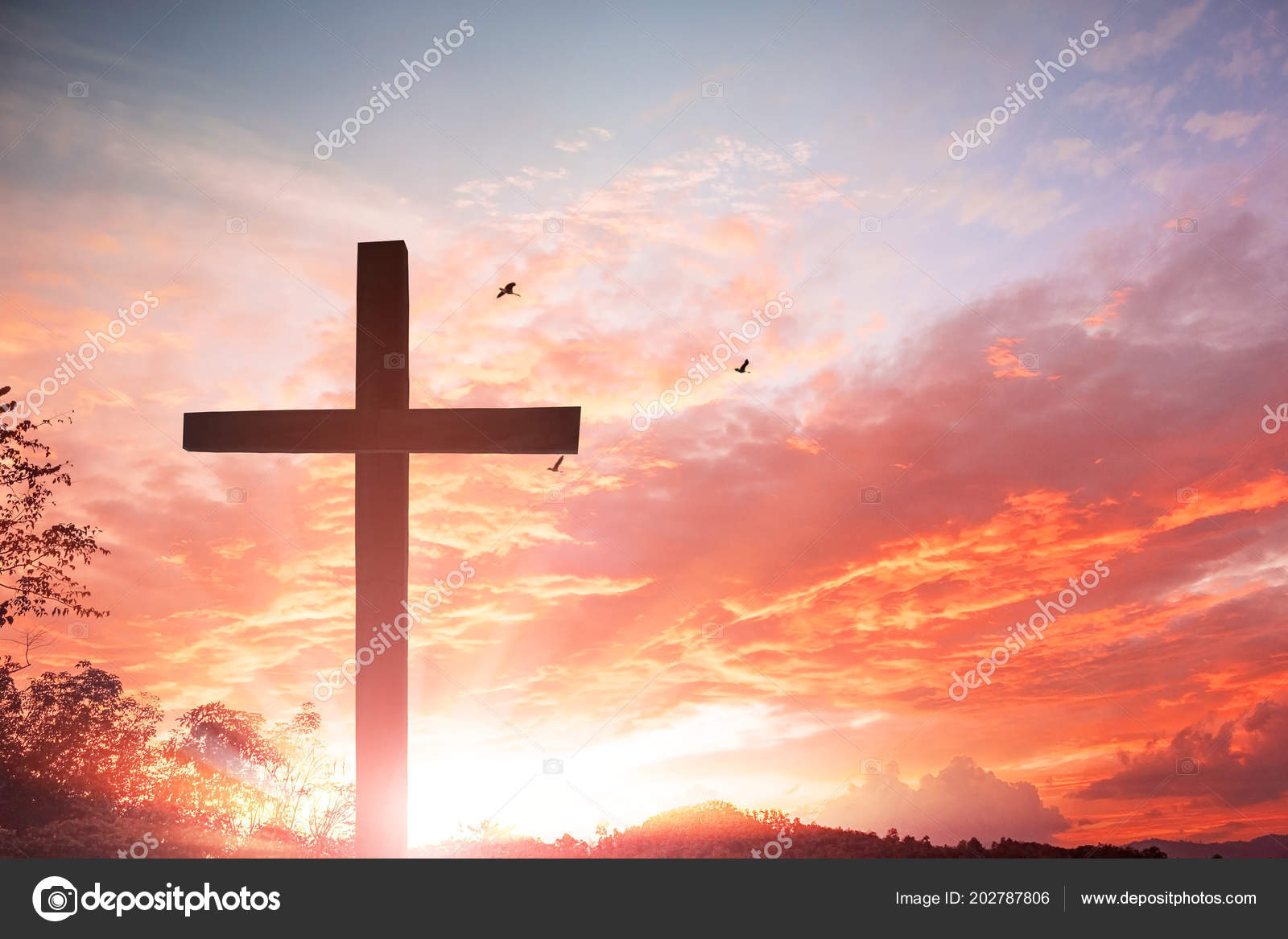 Detail Cross Of Jesus Images Nomer 28