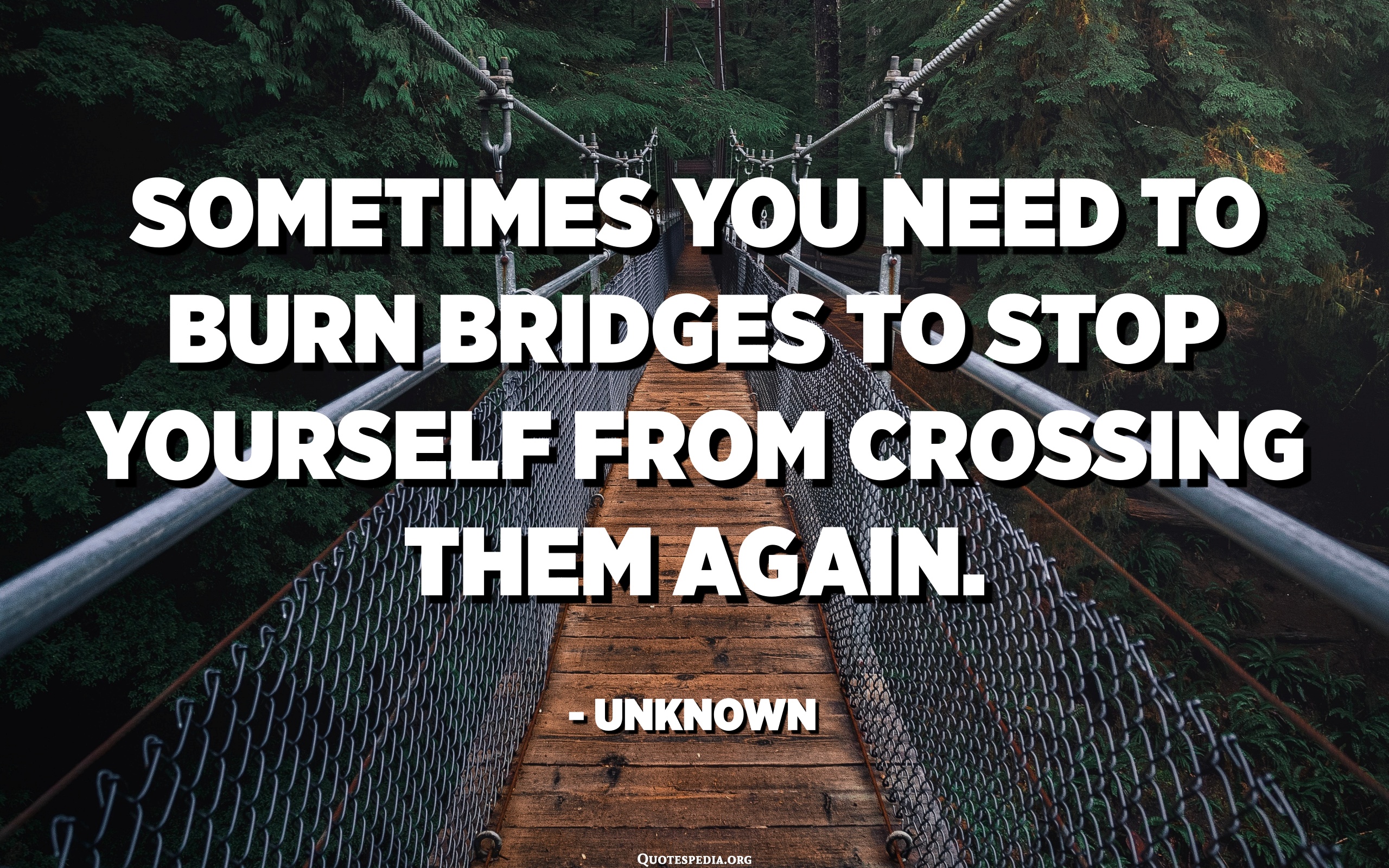 Detail Crossing A Bridge Quotes Nomer 30