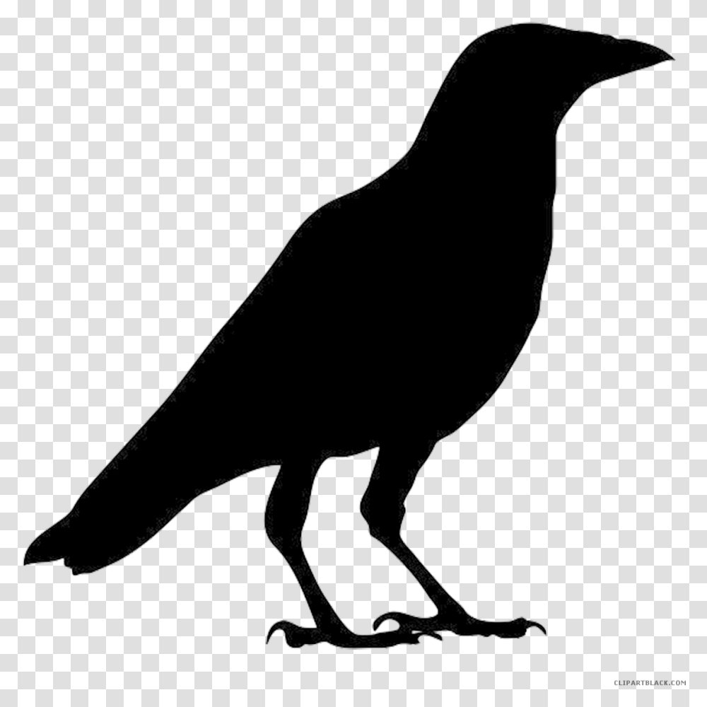 Detail Crow Clipart Nomer 12