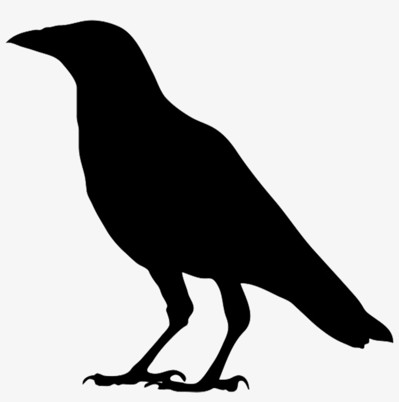 Detail Crow Clipart Nomer 17