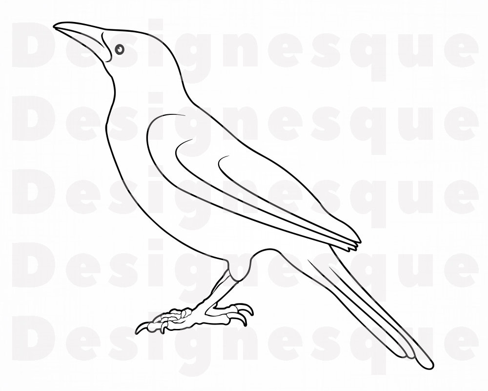 Detail Crow Clipart Nomer 20