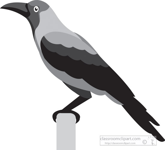 Detail Crow Clipart Nomer 29