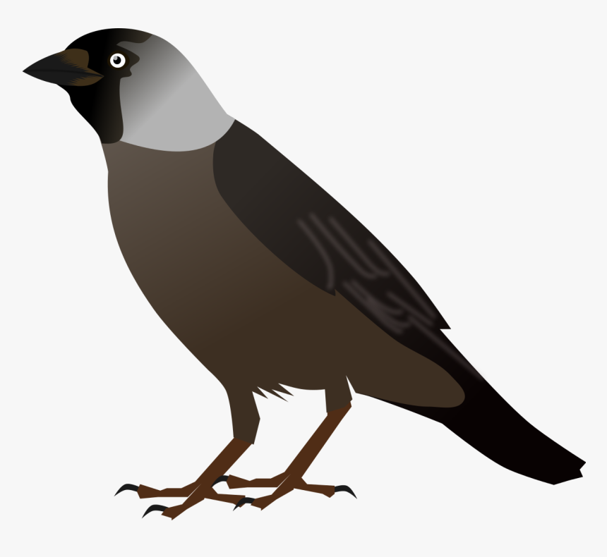 Detail Crow Clipart Nomer 39