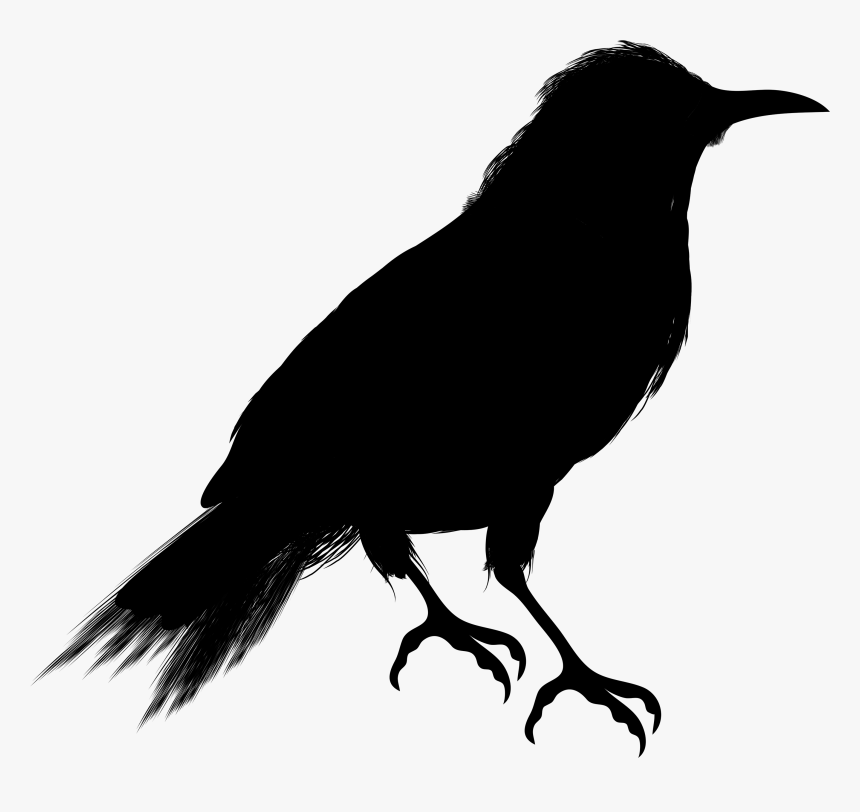 Detail Crow Clipart Png Nomer 18