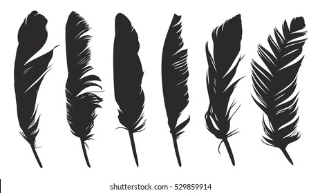 Detail Crow Feather Vector Nomer 2