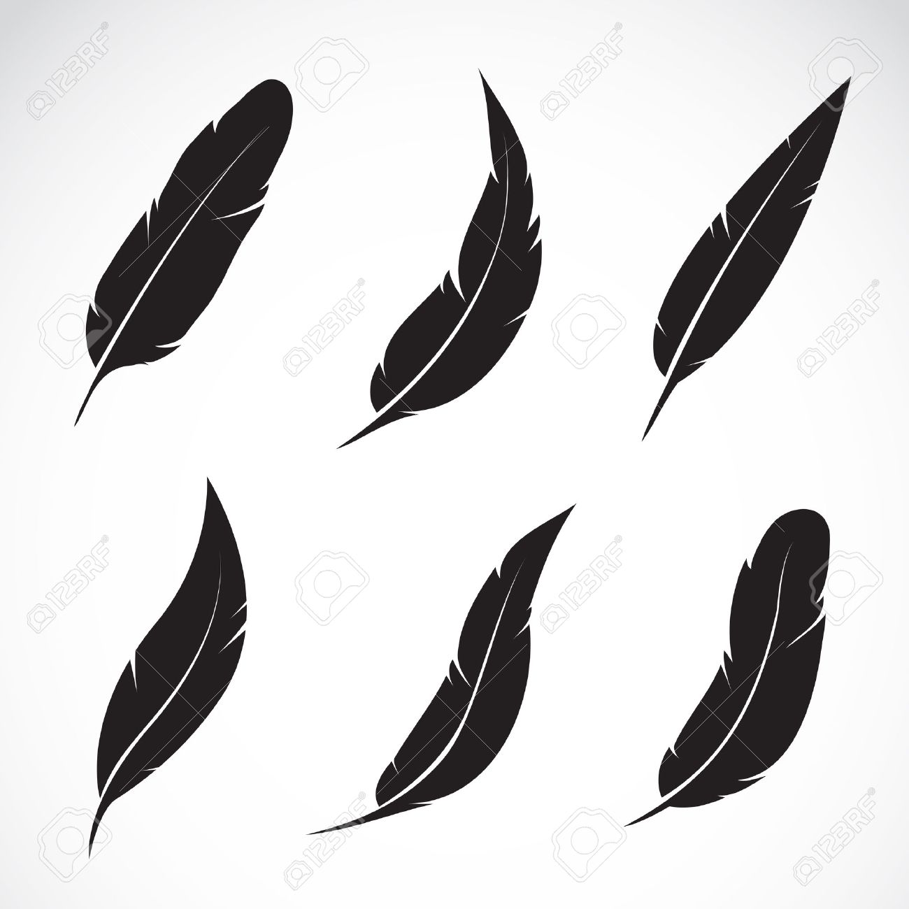 Detail Crow Feather Vector Nomer 12